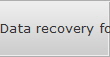 Data recovery for South New Orleans data